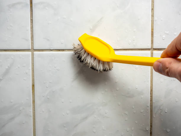 Best Residential Mold Remediation in Jasper, GA