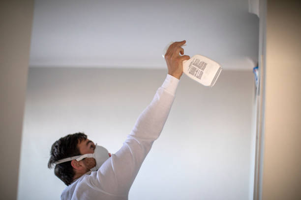 Best Commercial Mold Remediation in Jasper, GA
