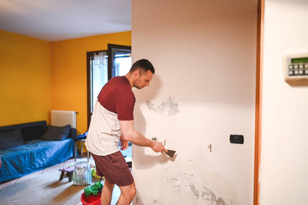 Best Insurance-Related Mold Remediation in Jasper, GA